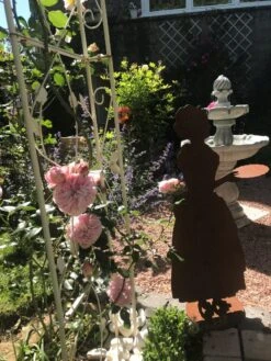 Kletterrose 'Giardina' ® -Günstiges Garten Zart Geschäft kletterrose giardina m054940 193676 0