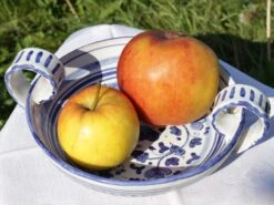 Sommerapfel 'James Grieve' -Günstiges Garten Zart Geschäft sommerapfel james grieve m000558 w 2