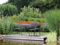 Weißer Wasserdost 'Bartered Bride' 17 Weißer Wasserdost 'Bartered Bride' -Günstiges Garten Zart Geschäft weisser wasserdost bartered bride m080016 w 3