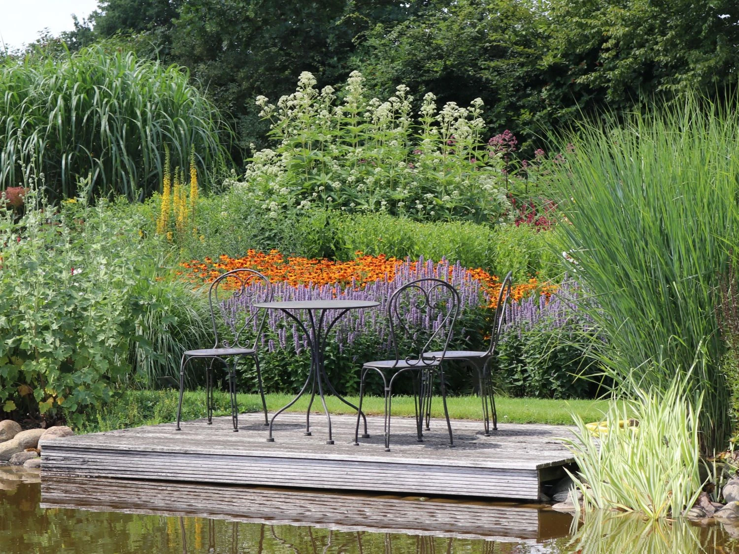 Weißer Wasserdost 'Bartered Bride' 10 Weißer Wasserdost 'Bartered Bride' – Bild 8